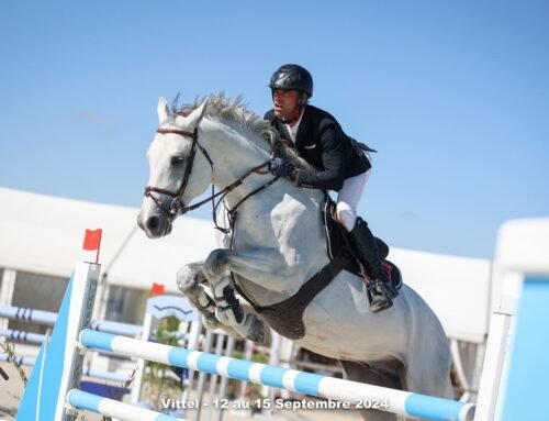 Concours de saut d’obstacles amateur pro septembre 2024