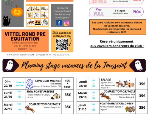 Planning des stages – Vacances de la Toussaint