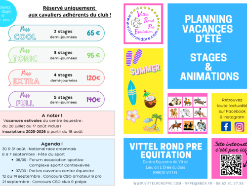 Planning des stages d’été