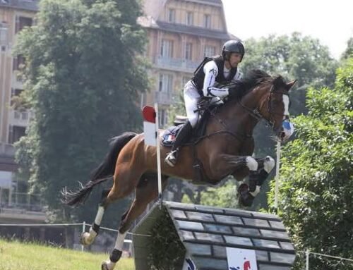 Grand national et international de concours complet