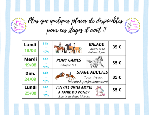 Stages août