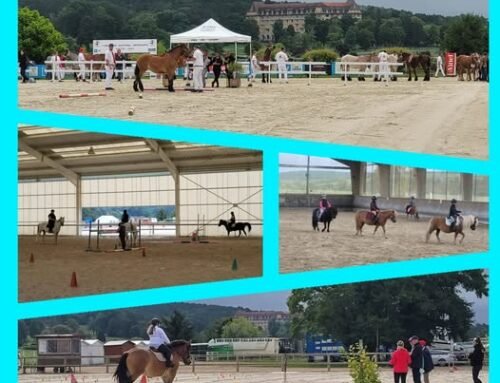 [National Ardennais]