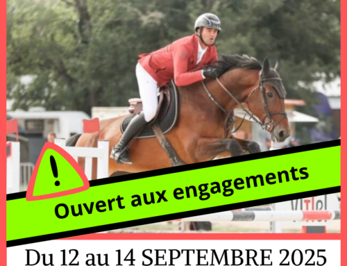 [CSO amateur/pro ]