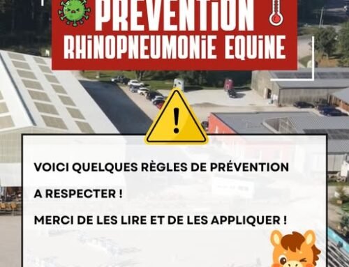 Prévention Rhinopneumonie équine