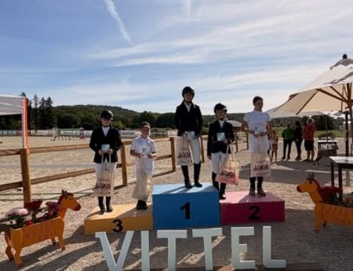 [Concours de saut d&rsquo;obstacles clubs & prépa]